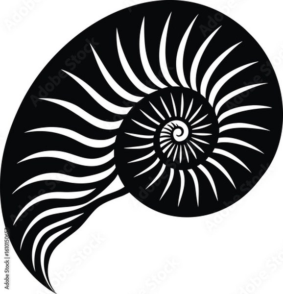 Obraz nautilus shell on white background.eps