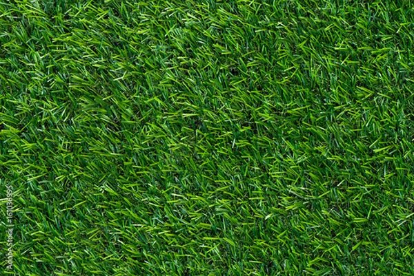 Fototapeta Green grass background and texture
