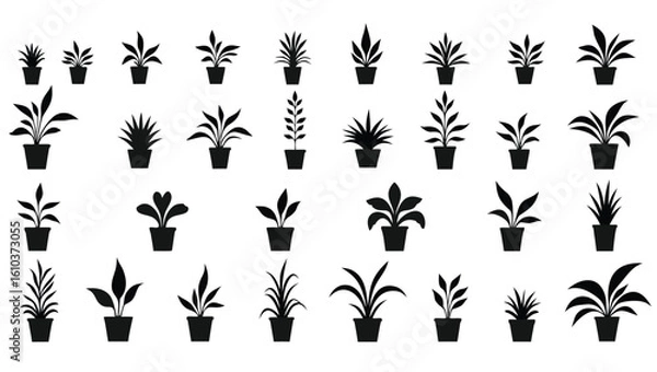 Fototapeta Potted plants silhouettes various leaf shapes and sizes houseplants indoor plants
