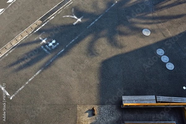 Obraz 上から見た駐車場の猫(遠景)