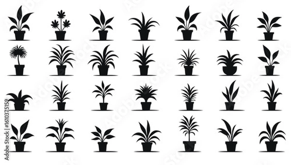 Fototapeta Potted plants various shapes and sizes houseplants foliage