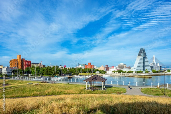 Fototapeta 【青森港】中央埠頭の丘から眺める青い海公園の風景