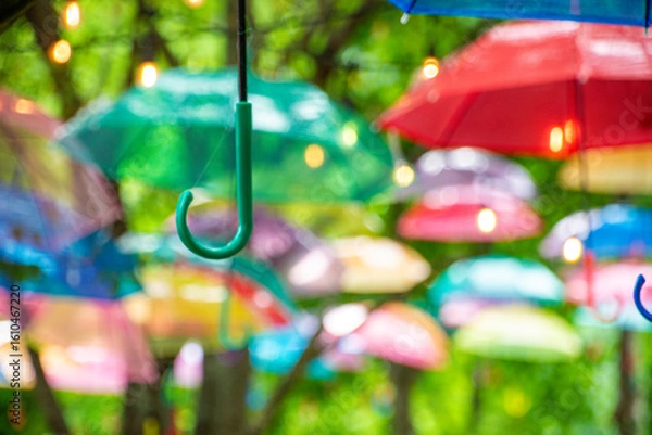 Fototapeta 傘まつり