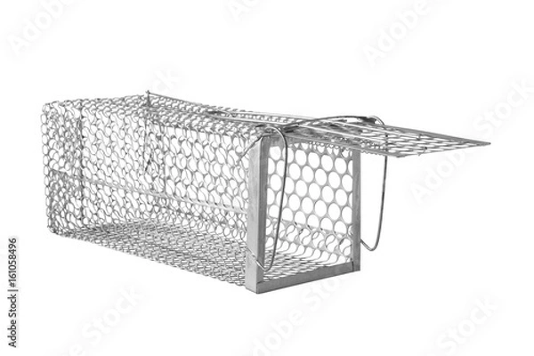 Fototapeta rat trap opened isolated on white background
