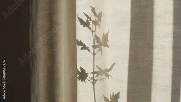 Obraz Leaf Shadow on Beige Curtain