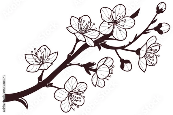 Obraz Cherry blossom branch minimal and decorative silhouette.