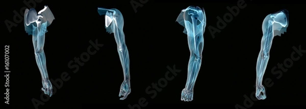 Obraz Anatomy an arm x-ray