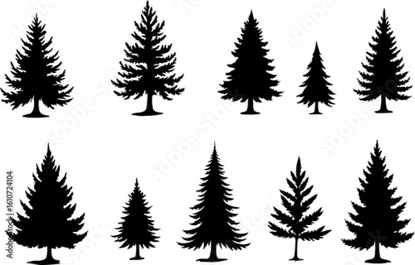 Fototapeta : Pine Tree Trio vector bundle