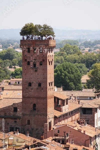 Obraz Guinigi tower Lucca