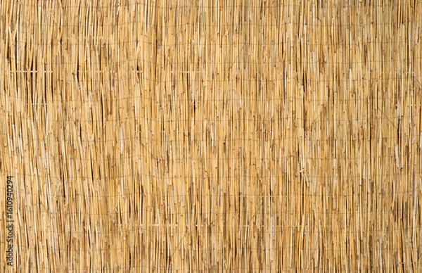 Obraz Reeds fence texture, rustic background 
