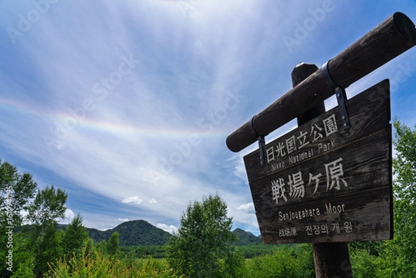 Obraz 夏の戦場ヶ原で見るハロ（日暈） 栃木県日光市