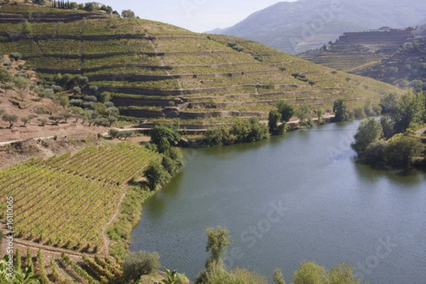 Obraz Douro Tal
