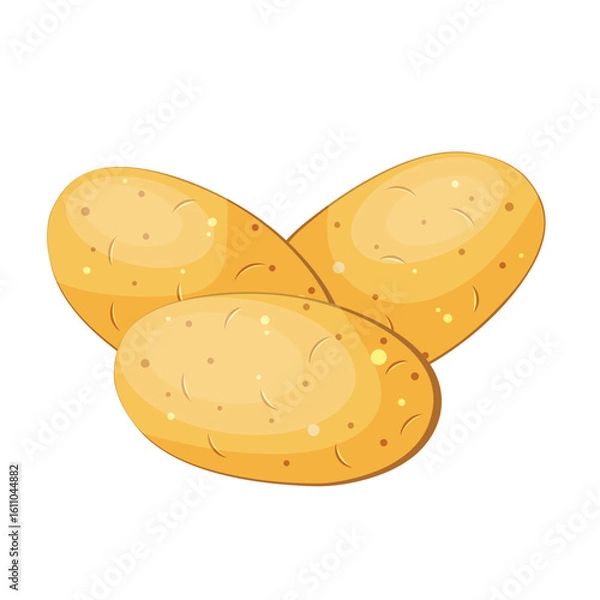 Fototapeta Set of whole potatoes isolated on white background, hand drawn.