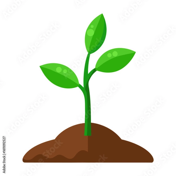 Obraz plant in a pot