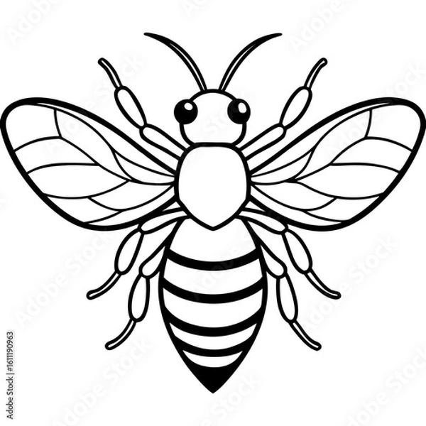 Obraz Honey Bee Outline Vector Design