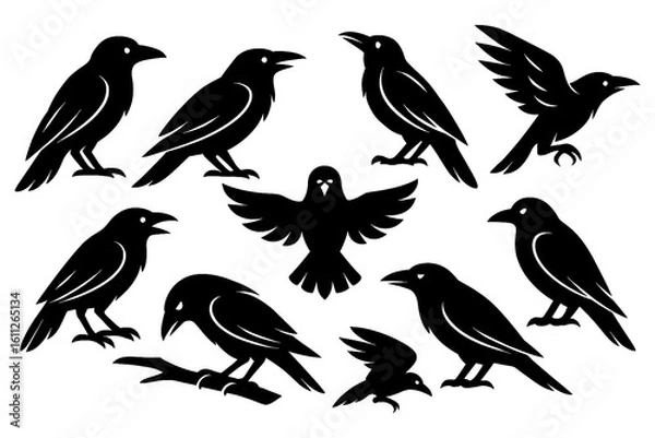 Fototapeta Black raven silhouettes in standing and flying positions, Transparent Background