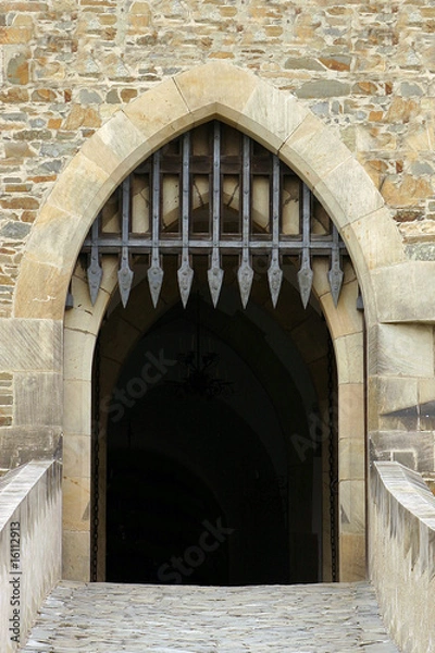 Obraz Castle gate.