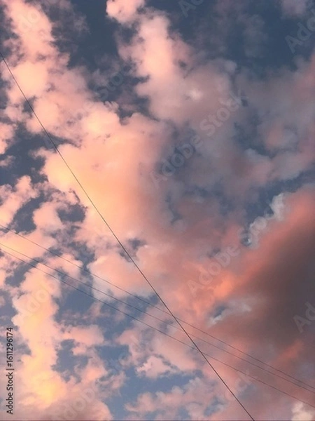 Obraz Pink sunset clouds crossed by power lines.