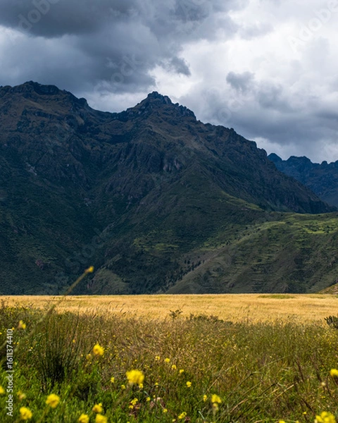 Fototapeta Green mountains and yellow fields in Peru