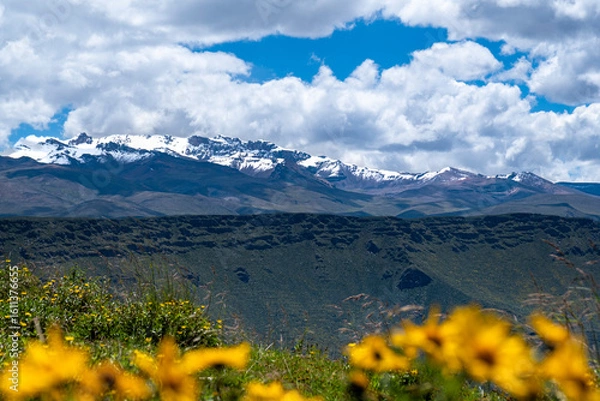 Fototapeta Ice covered mountains and yellow flowers in Peru