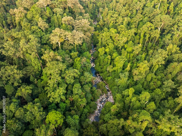 Fototapeta Aerial view of river in the middle of tropical rainforest