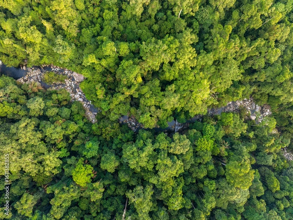 Fototapeta Aerial view of river in the middle of tropical rainforest