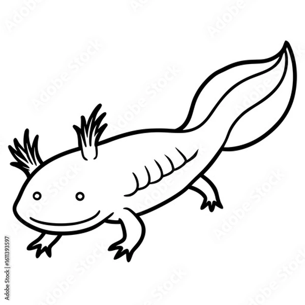 Fototapeta Axolotl line art vector