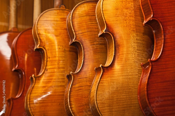 Obraz Violins