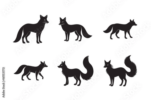 Fototapeta silhouette fox set bundle on the white background