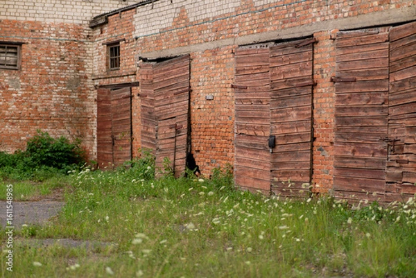 Fototapeta The photograph shows an old brick building with several wooden, slanted doors. In front of it is an area overgrown with grass and weeds.