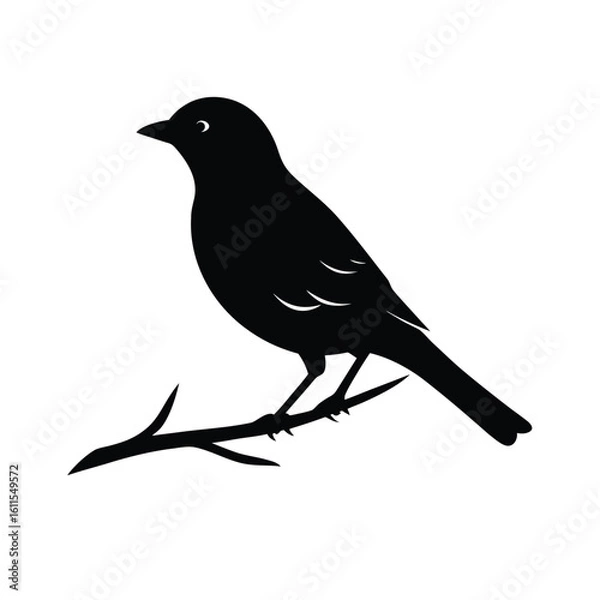 Obraz Black crow or other wild bird perched on a tree branch in nature, a striking silhouette