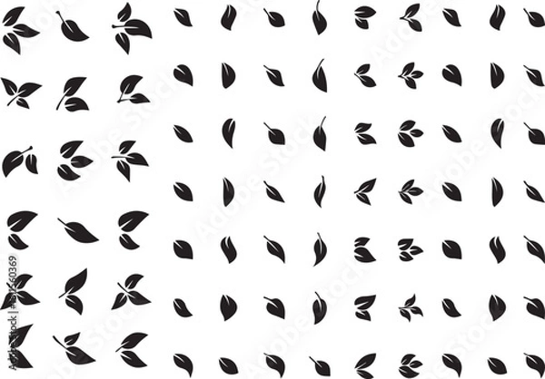 Fototapeta leaves and leaves in various shapes