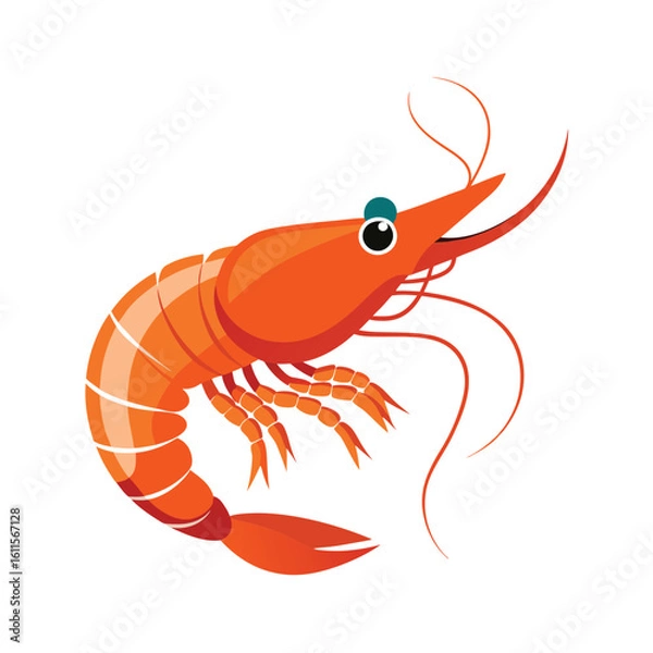 Obraz  shrimp vector on white background