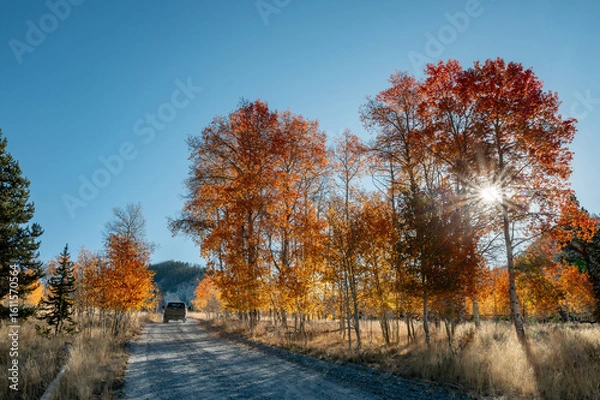 Fototapeta Pickup drives up a gravel road through an autumn forest