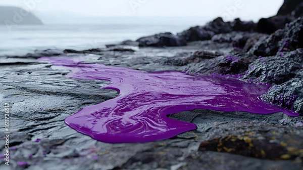 Fototapeta Purple liquid spills onto gray rocks near the ocean.  A  viscous, flowing substance blankets the shoreline