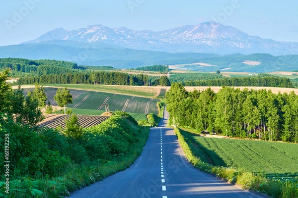 Obraz 就実の丘からの眺め 大雪山 旭岳