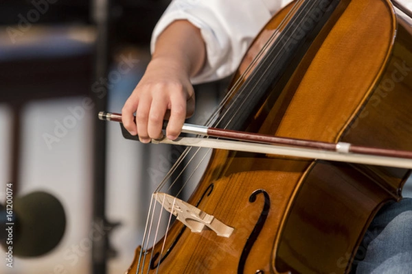 Fototapeta boy plays cello