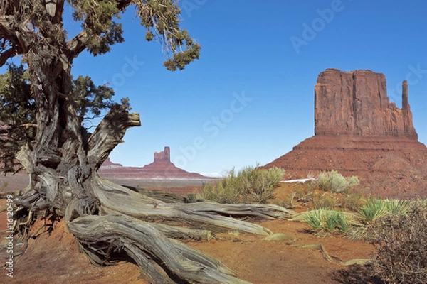 Obraz Monument Valley in Winter