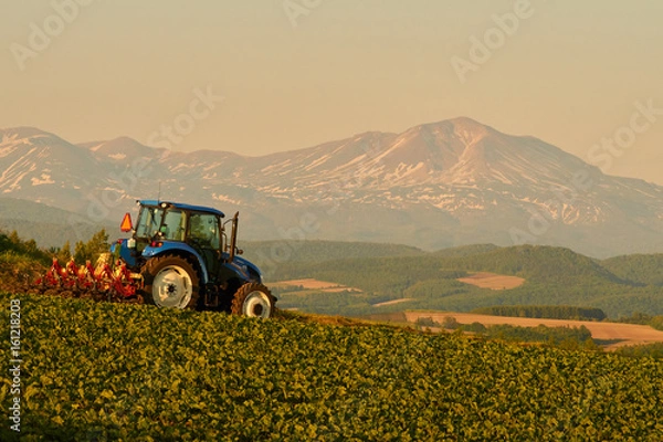 Obraz 就実の丘からの眺め トラクターと旭岳
