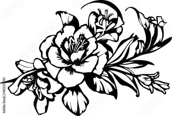 Fototapeta black graphic drawing of a rose flower on a white background, isolated element, decor