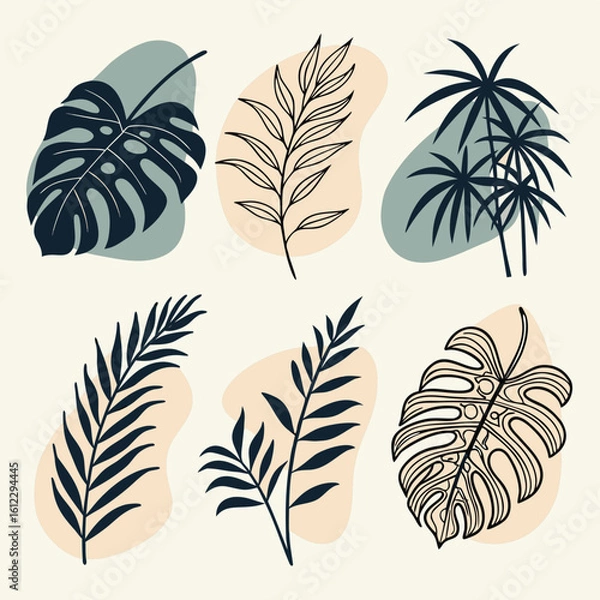 Fototapeta Six abstract botanical illustrations featuring monstera palm and fern leaves on organic shapes monstera leaf