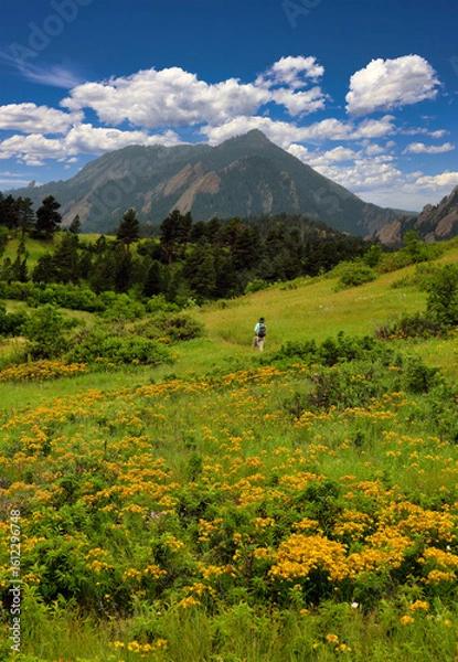 Fototapeta Spring hiker on Boulder, Colorado's Skunk Canyon Trail