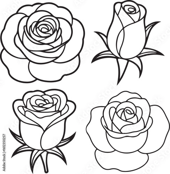Fototapeta Set of Rose Flower Line Art Illustrations in Black and White