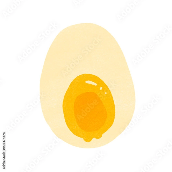 Fototapeta 手描きの煮卵のイラスト
