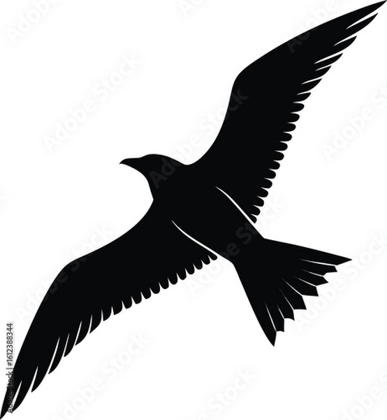 Obraz Eagle Flying Silhouette