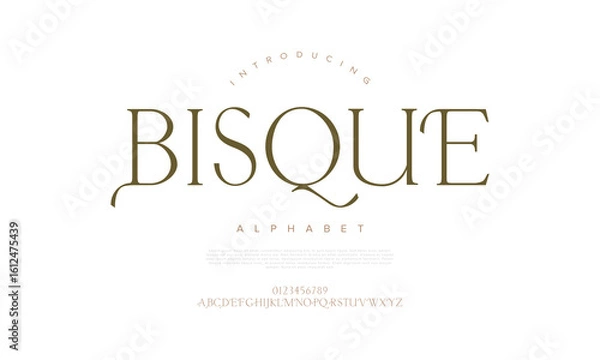 Fototapeta Luxurious serif font with stylish curves and timeless elegance. Perfect for branding and editorial
