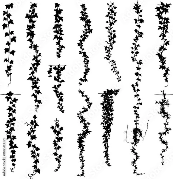 Fototapeta Silhouette illustration of various ivy vines hanging vertically, showcasing different leaf densities and stem patterns against a white background.