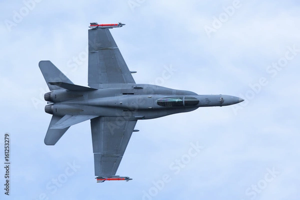 Obraz Jet fighter flying low.