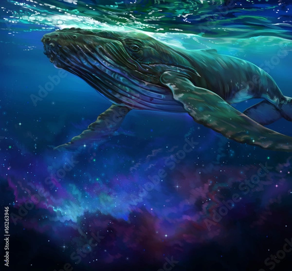 Obraz Кит и звезды