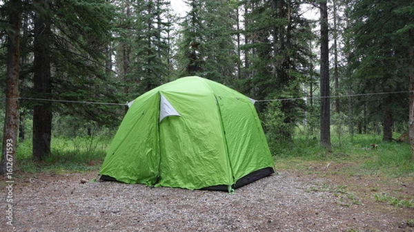 Obraz tent in the forest